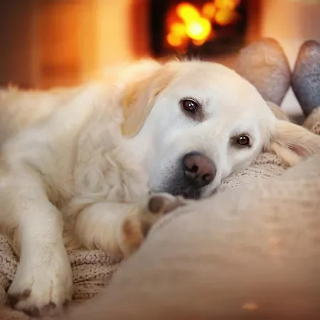 Seeschloesschen - Сasa de vacaciones